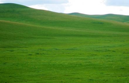 乌珠穆沁草原