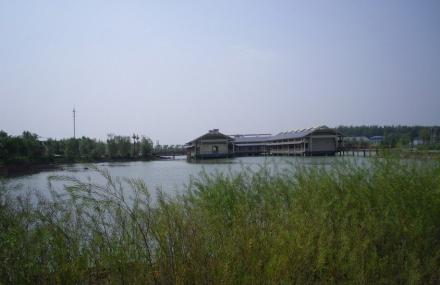 洪泽湖湿地森林公园