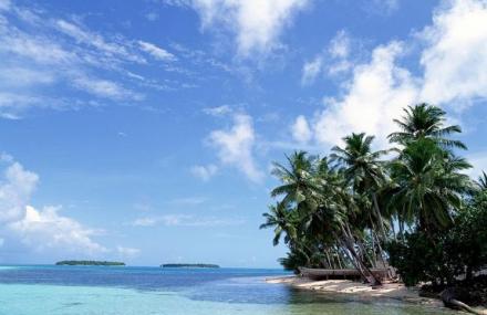 椰子岛