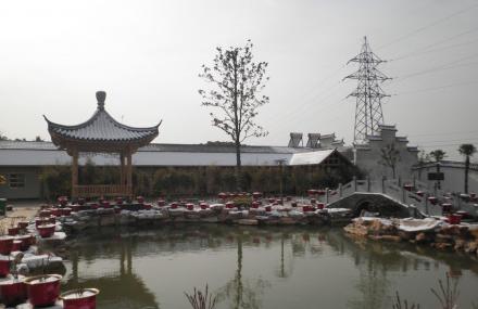 芜湖怡龙生态园