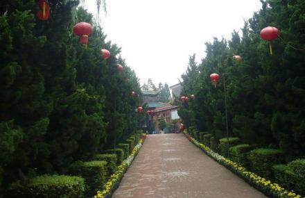 泰丰农业生态植物观光园