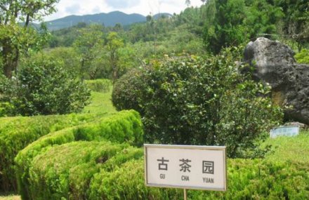 茶文化风情园