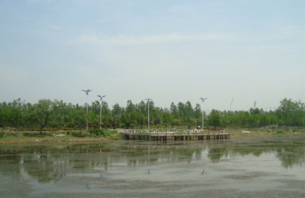 泗阳县生态公园
